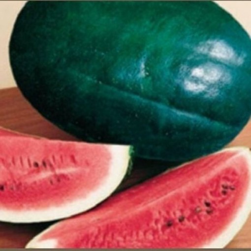 Black Diamond Watermelons WM3-20