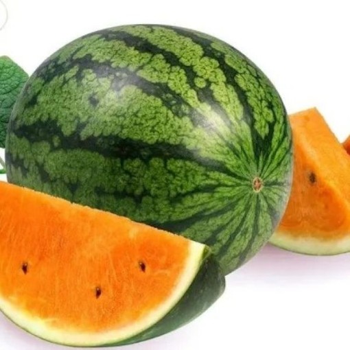 Tendersweet Watermelons WM19-20