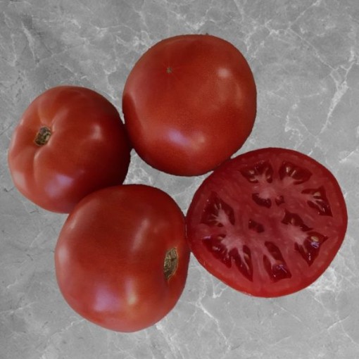 Celebrity Supreme Tomato TM916-10