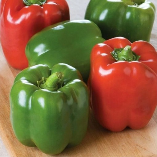 Keystone Resistant Giant #3 Peppers SP38-20
