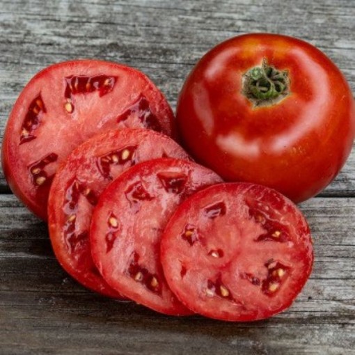 Big Beef Plus Tomato Seeds TM915-10