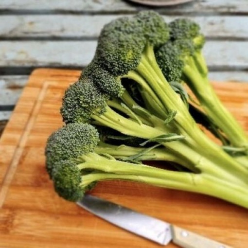 Skytree Broccoli BR2-50