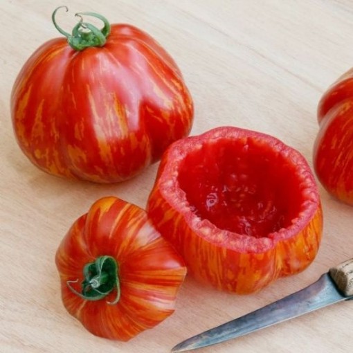 Get Stuffed Tomato Seeds TM67-20