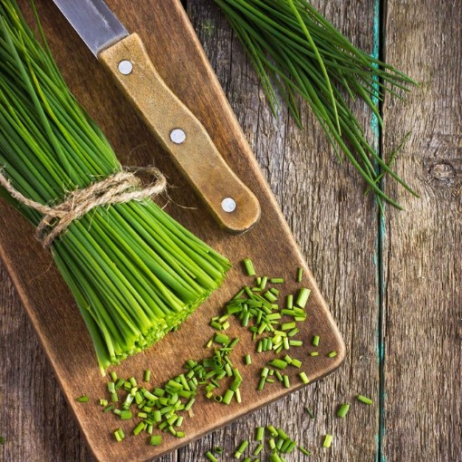 Chives HB132-100