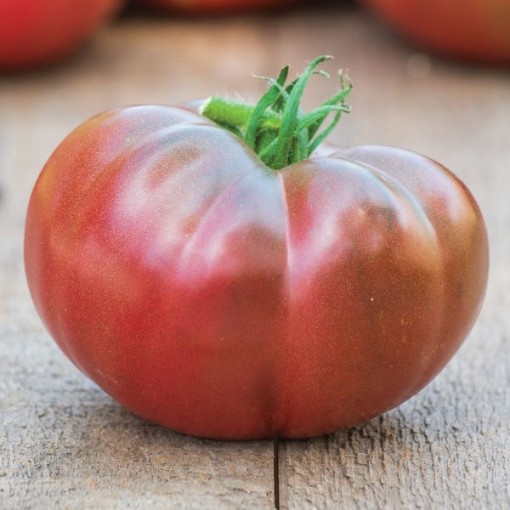 Darkstar Tomato TM162-5