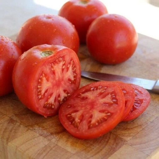 Celebrity Tomato TM32-10