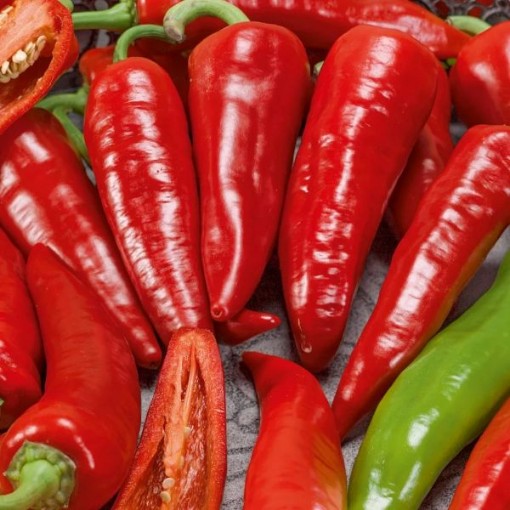 Mama Mia Rosso Peppers SP5-20