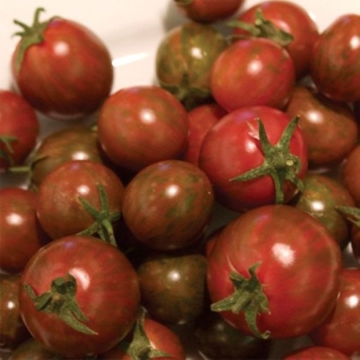 Zebra Cherry Tomato TM574-10