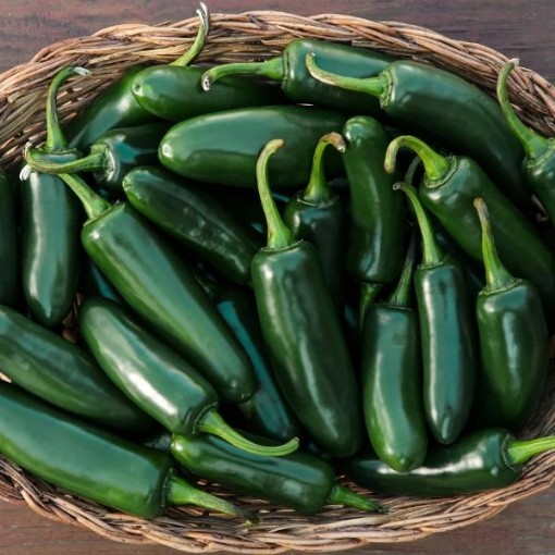 Craig's Grande Jalapeno Peppers HP2479-20