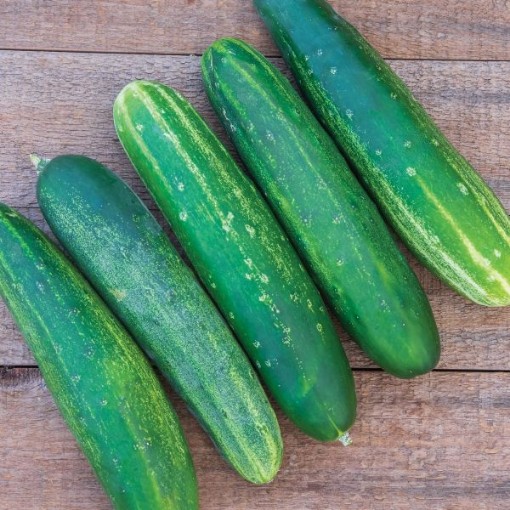 Straight Eight Cucumbers