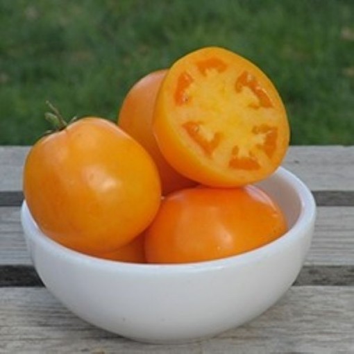 Carolina Gold Tomato