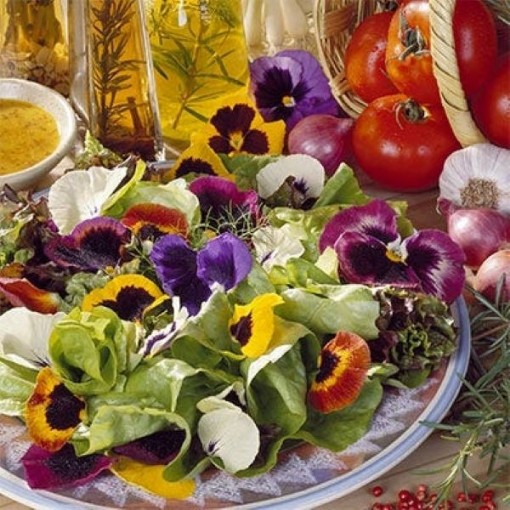 Edible Wildflower & Herb Mix