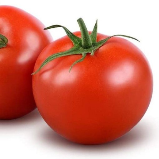 Calypso Tomato