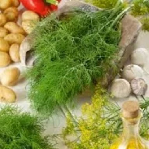 Mammoth Dill