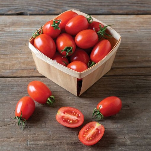 Candy Bell Tomato