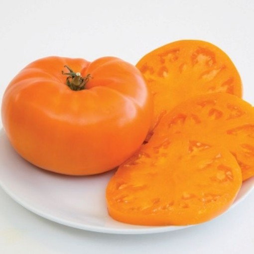 Brandywine Orange Tomato Seeds