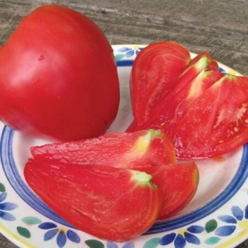 Anna Russian Tomato